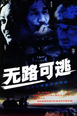 无路可逃2004(全集)